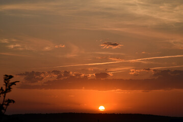 Beautiful summer sunset evening. Blue-yellow clouds of the setting sun. Sunset horizon.