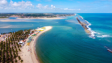Fototapeta na wymiar Vista aérea da Praia do Gunga, Alagoas - Brasil.