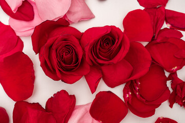 Photo of red roses and petals on a white background. Selective focus