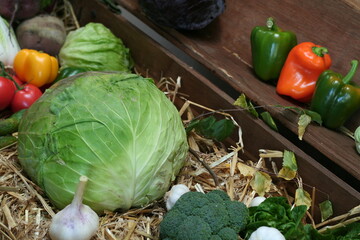White cabbage, garlic, peppers and straw as an autumn composition