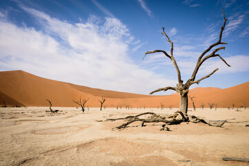 Fototapeta na wymiar Namibian Panorama 