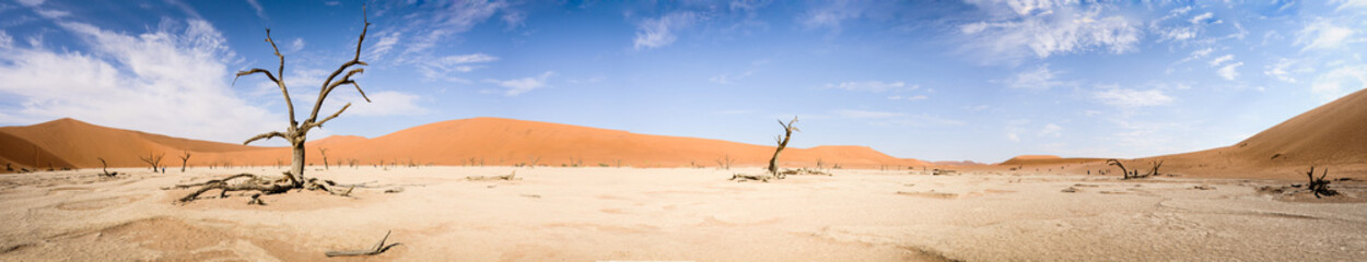 Namibian Panorama 