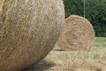 Strohballen auf einem Feld