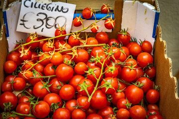 fresh italian tomatoes, market, bari, price tag, puglia, italy, europe