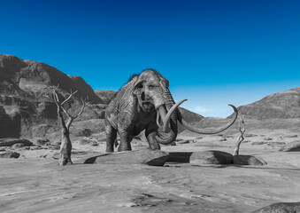 colossadon mammoth is walking among the dead trees on the dry desert in front view