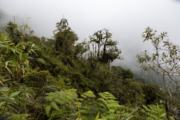 Landscape around the famous death road, the 
