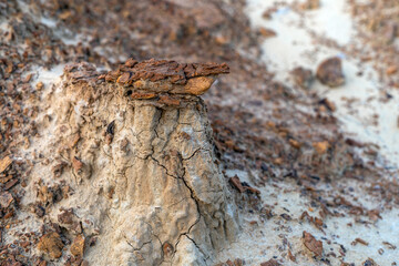 soils and deposits in nature