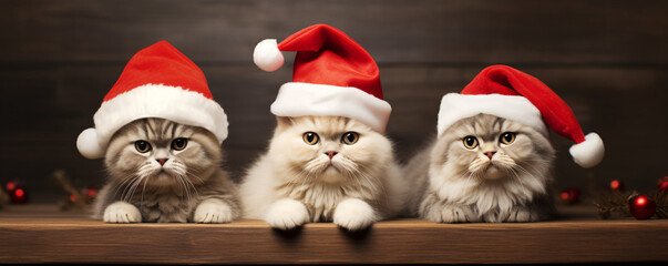 Three cute kittens wearing Santa hats and sitting on a wooden surface.