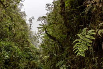 Fototapeta premium Landscape around the famous death road, the 
