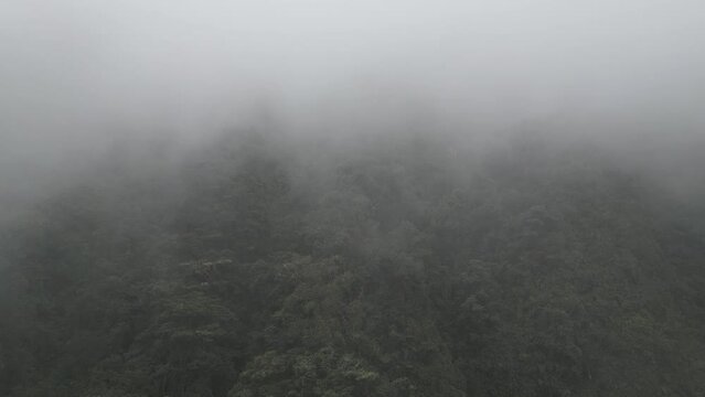Drone footage of heavy fog around the famous death road, the "Camino de la Muerte", in the Bolivian Andes near La Paz - traveling and exploring the Yungas - natural look