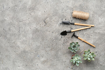 Gardening tools and succulent plants on grey grunge background