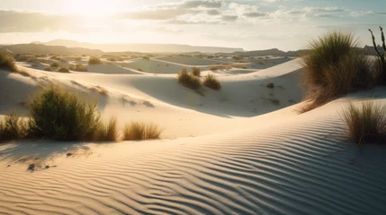 Fototapeten White sand dunes. © Matthew