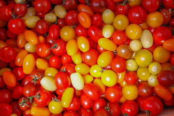 Kleine bunten Tomaten