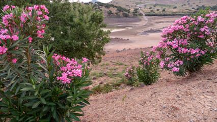 Aydincik little pond and green hills in Gokceada. Lakes in Gokceada. Canakkale, Turkey.