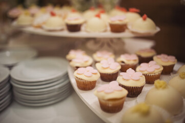 Delicious sweet buffet with cupcakes. Sweet holiday buffet with cupcakes and other desserts. Candy Bar. Dessert table for party goodies. Party reception, decorated delicious in the restaurant.