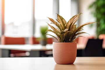 On the desk, there are indoor plants in a brown pot against a hazy background.