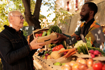 Elderly customer receiving box of organic fruits and veggies at local farmers market, visiting grocery stand. Cheerful male small business owner selling home grown natural bio products.