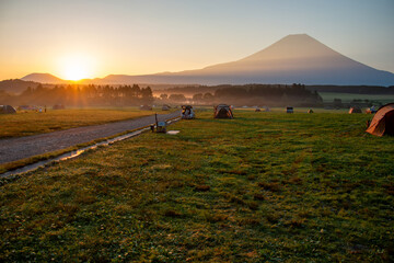 富士山麓の夏　朝陽に染まる富士とふもとっぱら　