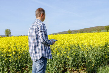 A middle-aged male agronomist farmer with a digital tablet examines the fields with a rapeseed crop and writes the data into an electronic device. Farming and modern technologies.