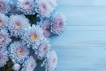 Chrysanthemums in blue with a grey rectangle border and a white wooden background. Flat lay with copy space, top view.
