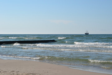 Wooden piles sticking out of the sand on the beach and sea,  shore defenses, breakwater. Seagulls sitting on the brakewater.