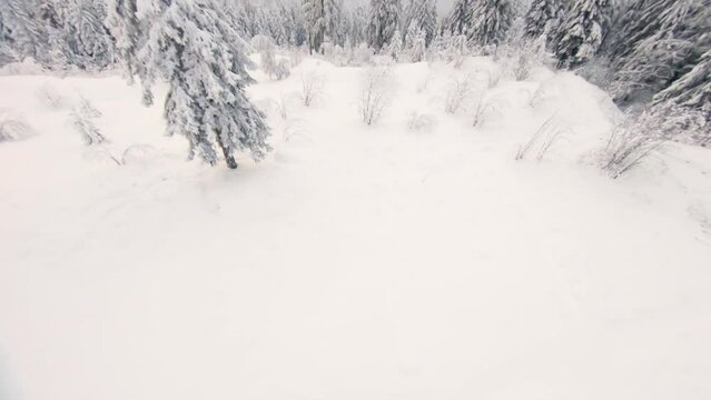 &Uuml;ber den Winterwipfeln: Drohnen-Luftaufnahmen der verschneiten Alpenlandschaften