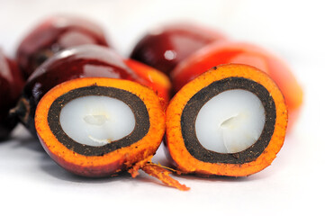 Close up of fresh oil palm fruits, selective focus.  