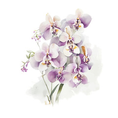Naklejka na ściany i meble Orchid Flower in watercokor vector