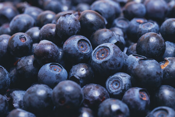 Fresh ripe blueberries. Macro shot.