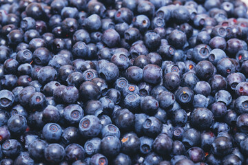 A lot of fresh blueberries. Close-up. Macro shot. Top view.