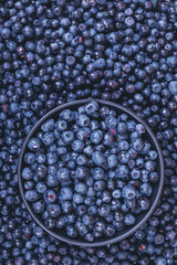 Fresh blueberries in black bowl on blueberries background.  Close-up. Top view. Bowl filled with ripe blueberries.