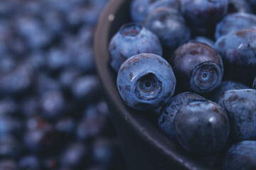 Fresh blueberries in black bowl. Bowl filled with ripe blueberries. Macro shot. Blueberry background.