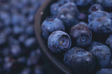 Fresh blueberries in black bowl. Bowl filled with ripe blueberries. Macro shot. Blueberry background.