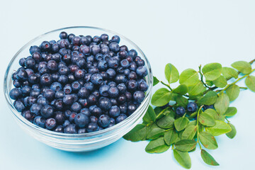 Glass bowl filled with ripe blueberries and a row of lying branches of blueberries with berries on a blue background.