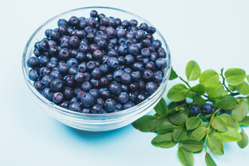 Glass bowl filled with ripe blueberries and a row of lying branches of blueberries with berries on a blue background.