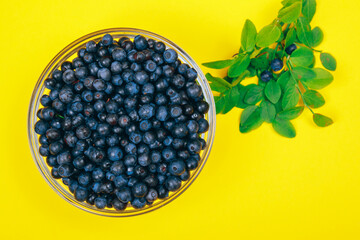 Glass bowl filled with ripe blueberries and a row of lying branches of blueberries with berries on a yellow background. Top view