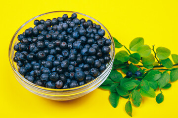 Glass bowl filled with ripe blueberries and a row of lying branches of blueberries with berries on a yellow background.