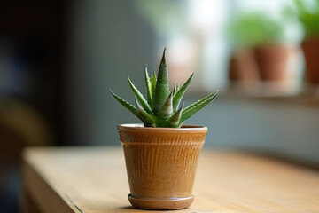 Green mini plant aloe planting and gardening at home. Aloe vera in plant pot. Aloe flower in a pot. Small cactus in white pot. Realistic 3D illustration. Generative AI