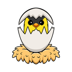 Cute common backyard bird cartoon inside from egg