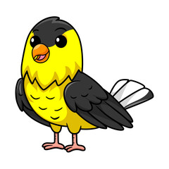 Cute common backyard bird cartoon