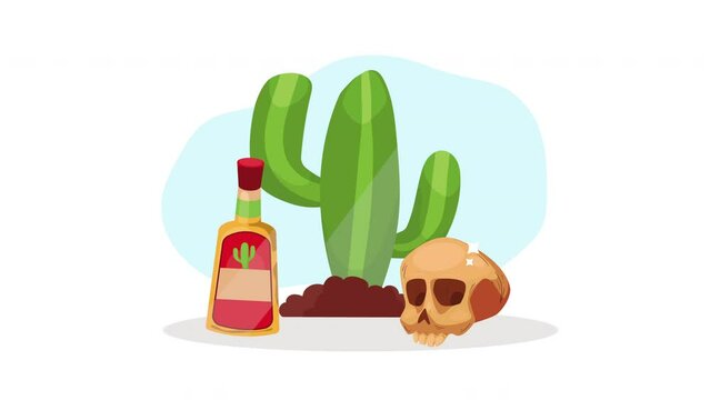 mexican culture cactus plant animation