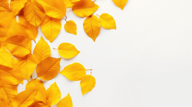 Banner with yellow leaves with space for text.