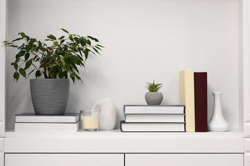Interior design. Houseplant, books and decor elements on white shelf