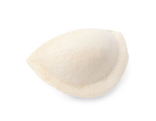 Raw dumpling (varenyk) with cottage cheese isolated on white