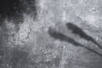 Close-up view of a black wall