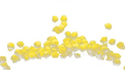 Yellow small Rose Flower explosion up. Many Styrofoam Roses present Love romantic wedding valentine. Artificial foam yellow rose fly in air. Black background isolated selective focus blur