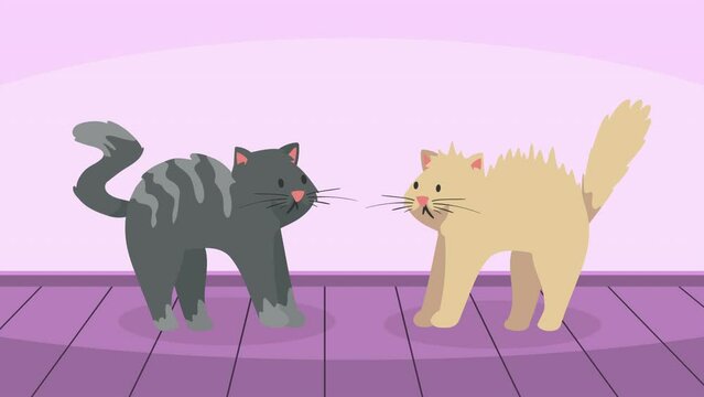 two cats mascots characters animation