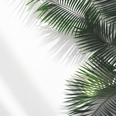 Fototapeta na wymiar Palm branches in the corners, tropical plants decoration elements. Generative AI