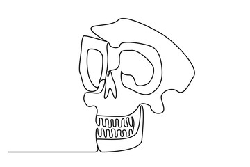 human head skull bones anatomy line art