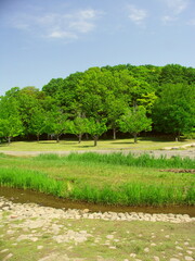 初夏の小川と森のある21世紀の森と広場風景